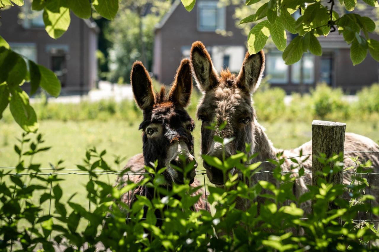 Het Weeshuis Bolsward Eksteriør bilde